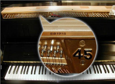 Brambach Baby Grand Piano Serial Number Location