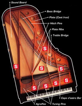 Where is the serial number on a kimball baby grand piano